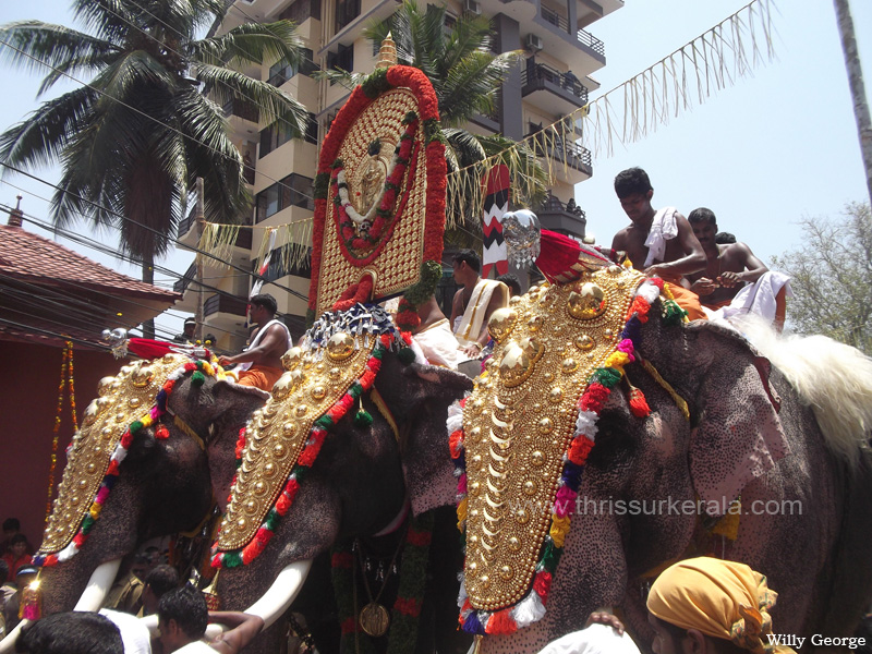 thrissur-pooram-2013-11 (7)